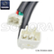 Rectificador HONDA CBR600 (P / N: ST03004-0004) Calidad superior