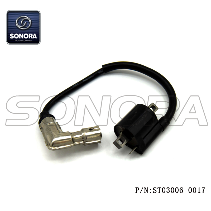 Bobina de encendido Wangye 2 tiempos WY50QT-16A (P / N: ST03006-0017) Calidad superior