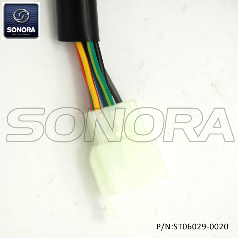 Interruptor de Handel Derecha SCOMADI (P / N: ST06029-0020) Calidad superior