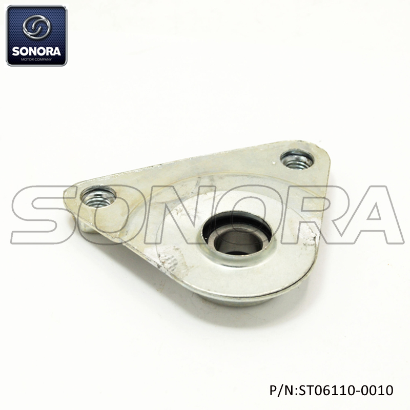 PIAGGIO CIAO Soporte trasero (P / N: ST06110-0010) Calidad superior
