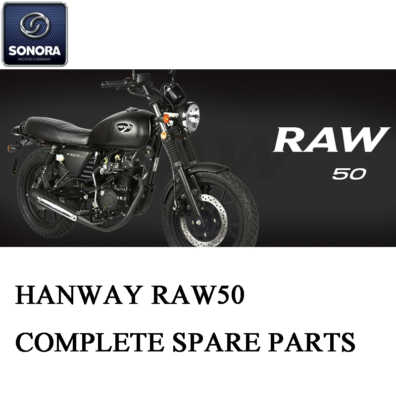 Repuesto completo Hanway RAW50