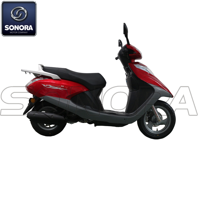 Haojiang RUIYU HJ100T-17 Kit completo de carrocería de motor Piezas de repuesto Piezas de repuesto originales