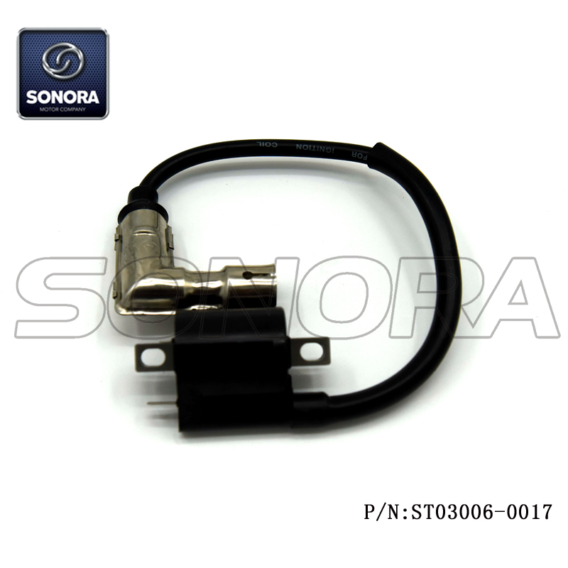 Bobina de encendido Wangye 2 tiempos WY50QT-16A (P / N: ST03006-0017) Calidad superior