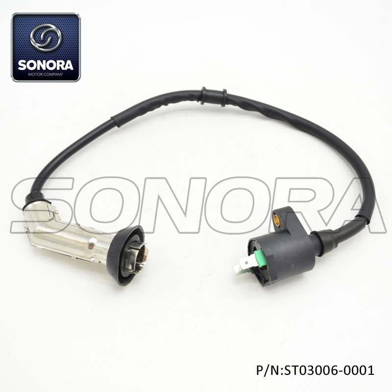 Bobina de encendido del cabezal de hierro del motor GY6-50 125 139QMAB 152QMI (P / N: ST03006-0001) Calidad superior