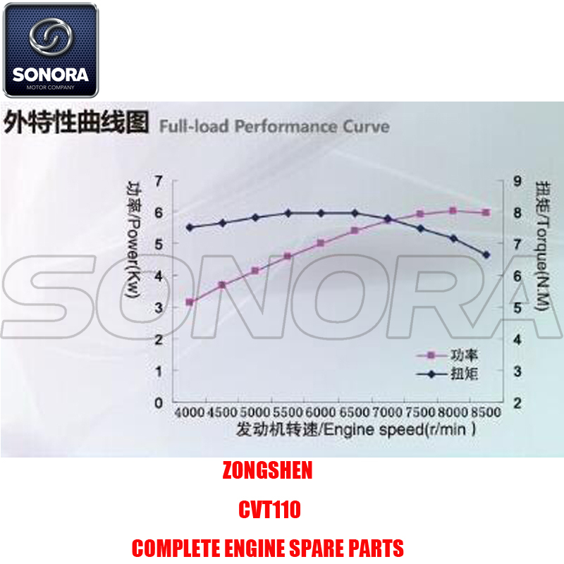 Zongshen CVT110 Repuestos para motores completos Piezas originales