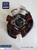 Benzhou Scooter Gy6 50cc Stator (P / N: ST04055-0000) Calidad superior