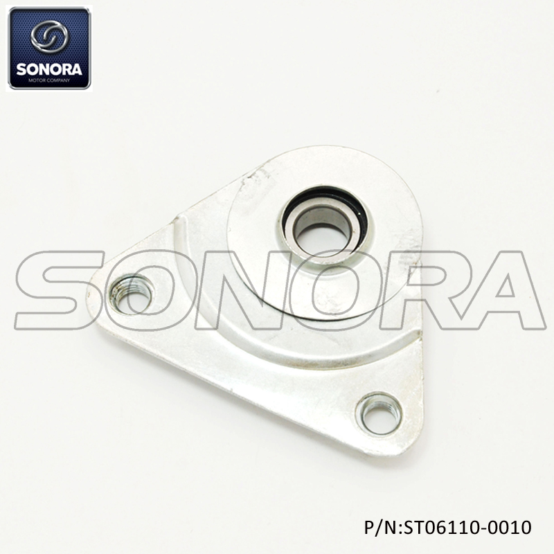 PIAGGIO CIAO Soporte trasero (P / N: ST06110-0010) Calidad superior