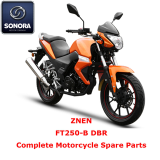 Repuesto Completo Moto ZNEN FT250-B DBR