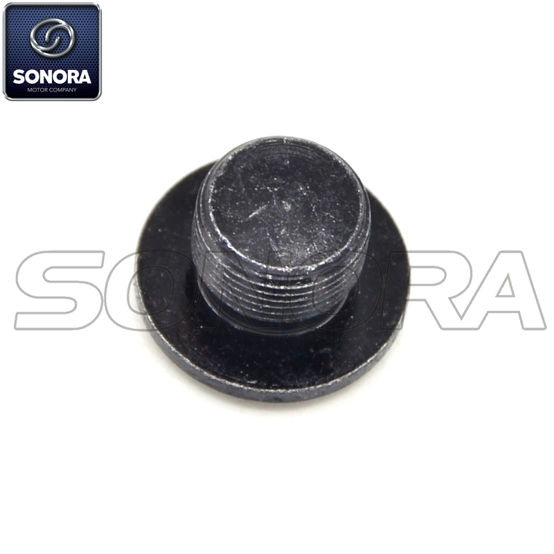 Zongshen NC250 Bolt M14x1 (OEM: 100105195) Calidad superior