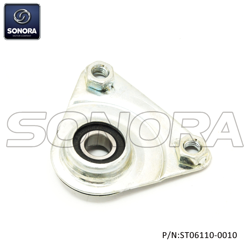 PIAGGIO CIAO Soporte trasero (P / N: ST06110-0010) Calidad superior