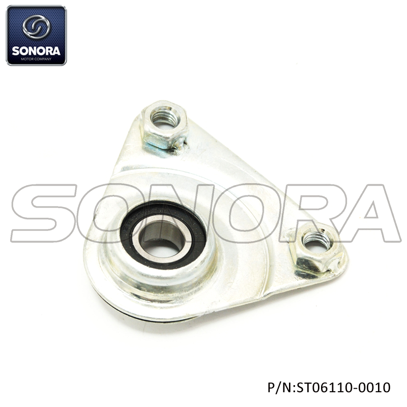 PIAGGIO CIAO Soporte trasero (P / N: ST06110-0010) Calidad superior