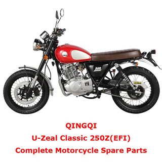 QINGQI Classic 250Z EFI Piezas de repuesto completas para motocicletas