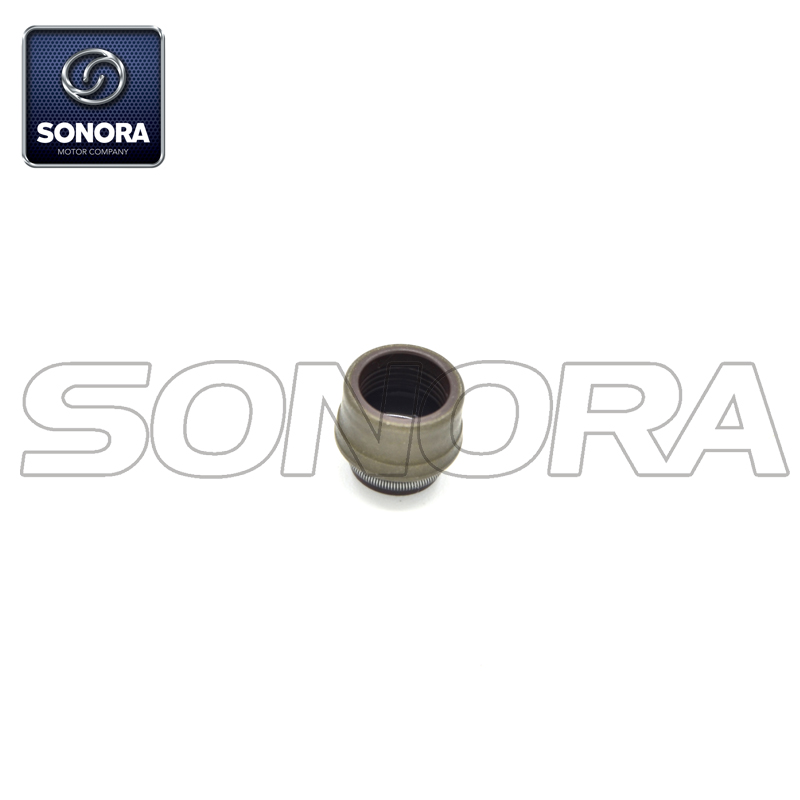 Vástago de válvula de sello Zongshen NC250 (OEM: 100200729) Calidad superior