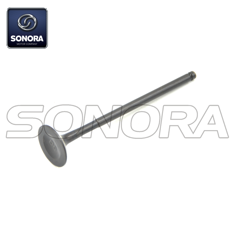 Válvula de admisión Zongshen NC250 (OEM: 10061959) Calidad superior