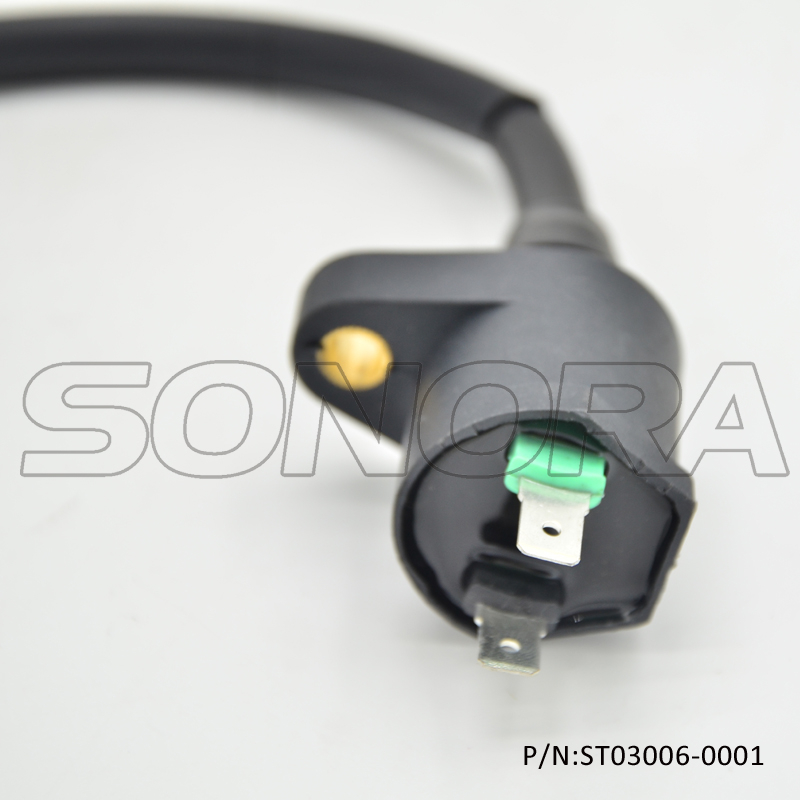 Bobina de encendido del cabezal de hierro del motor GY6-50 125 139QMAB 152QMI (P / N: ST03006-0001) Calidad superior