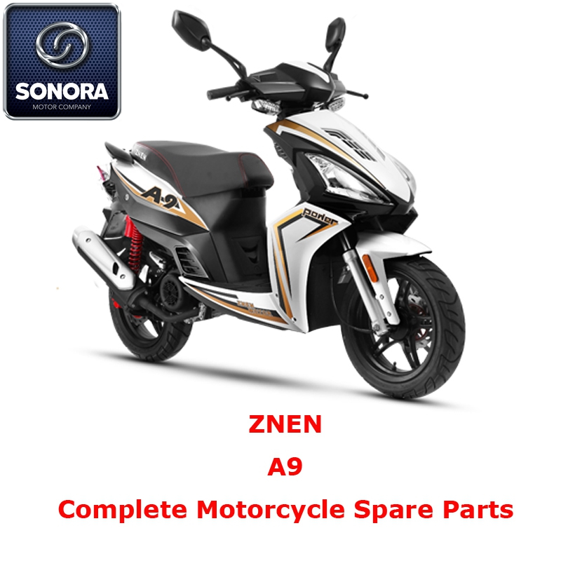 Repuesto Scooter completo ZNEN A9