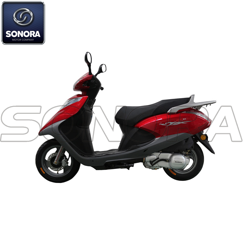 Haojiang RUIYU HJ100T-17 Kit completo de carrocería de motor Piezas de repuesto Piezas de repuesto originales
