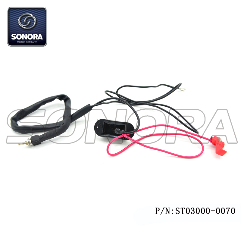 Limitador de velocidad del scooter (P / N: ST03000-0070) Calidad superior