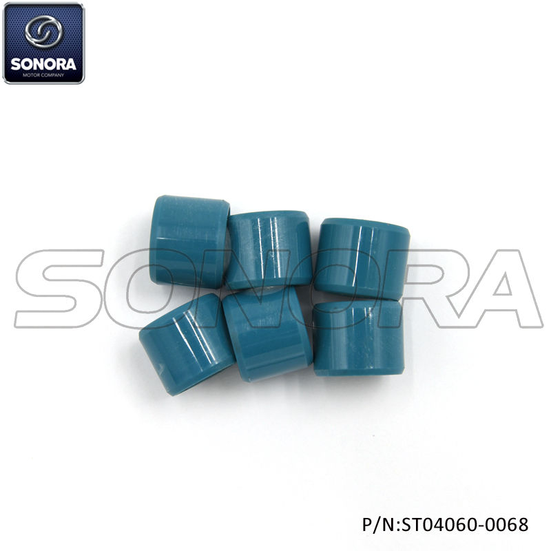 Set de rodillos VESPA 4.7 g (P / N: ST04060-0068) Calidad superior