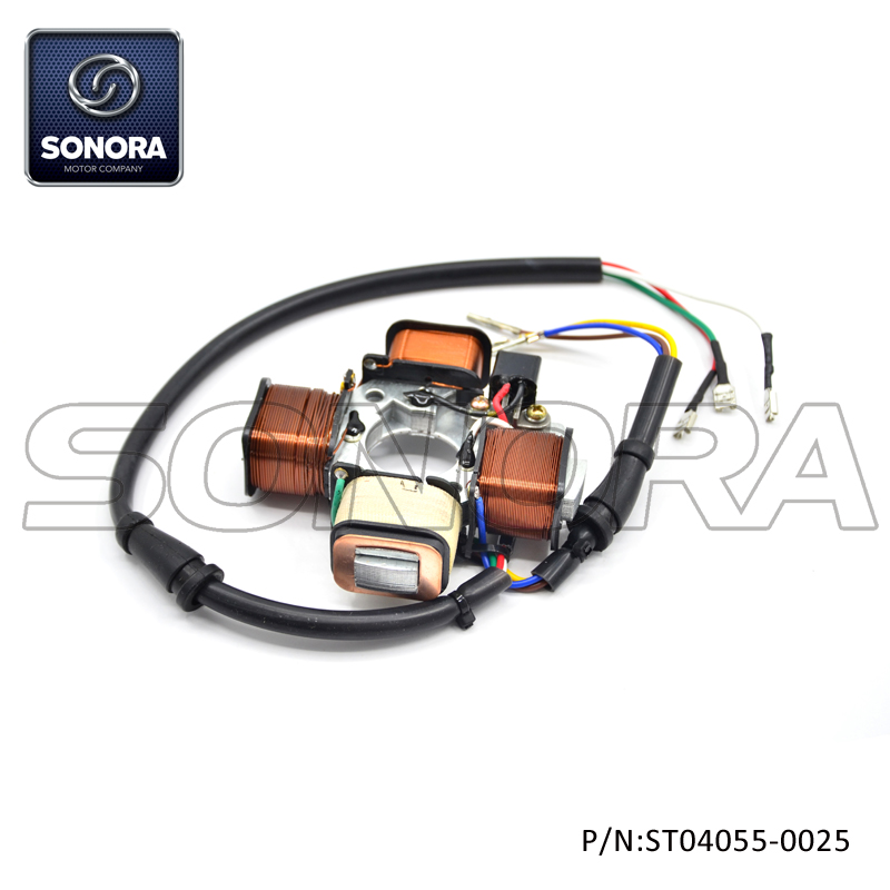 Estator Piaggio Ciao (P / N: ST04055-0025) Calidad superior