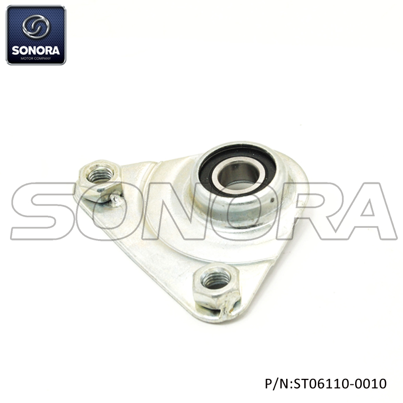 PIAGGIO CIAO Soporte trasero (P / N: ST06110-0010) Calidad superior