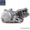 Motor ZONGSHEN PITBIKE W190 (P / N: ST04100-0006) Calidad superior