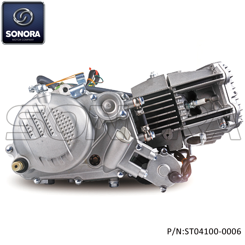 Motor ZONGSHEN PITBIKE W190 (P / N: ST04100-0006) Calidad superior