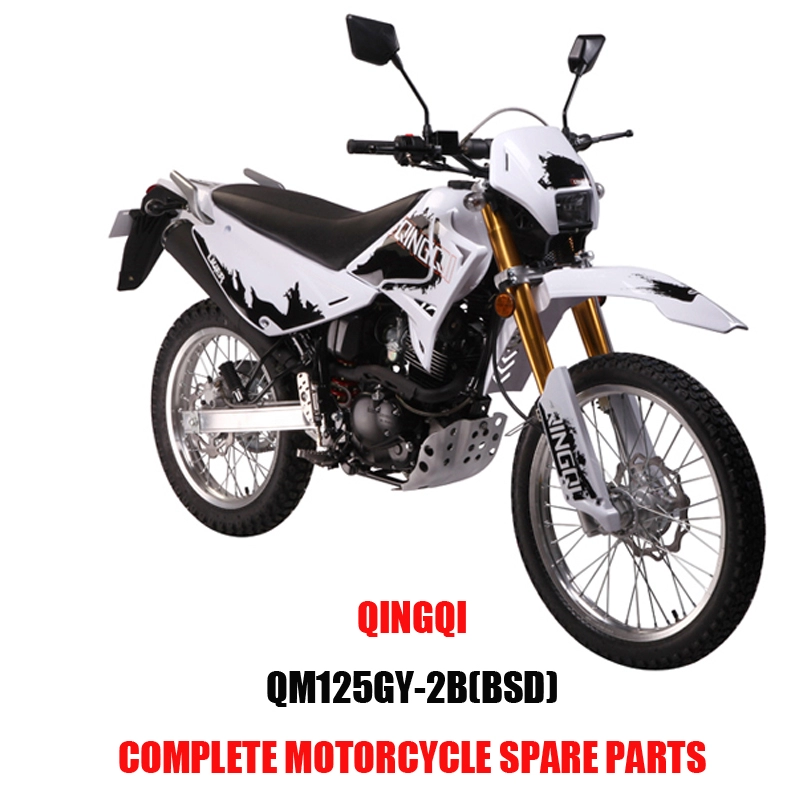 QINGQI QM125GY-2B BSD Piezas de motor Kits de carrocería de motocicleta Piezas de repuesto Original