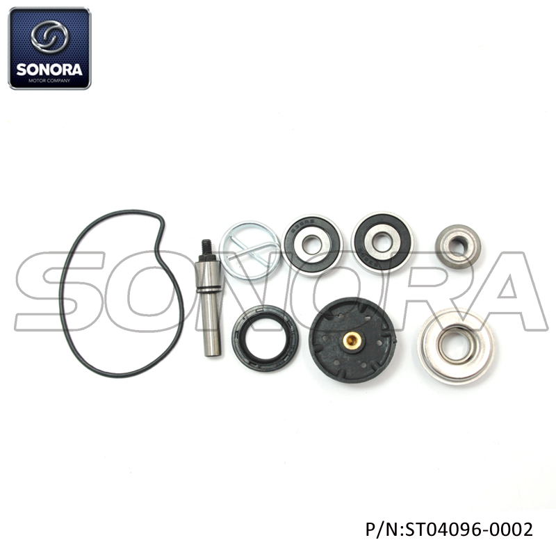 PIAGGIO, GILERA250-300, X789 Vespa GTS EU3 MP3 OREGON 06-08 EVO IE IE BEVERLY NEXUS EU3 06-09 Camaby Cruiser 09 Kit de reparación de la bomba de agua (p / n: st04096-0002)