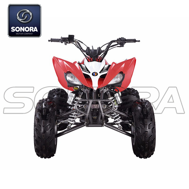 Mikilon ATV PENTORA 250A Kit completo de carrocería de motor Repuestos Repuestos originales