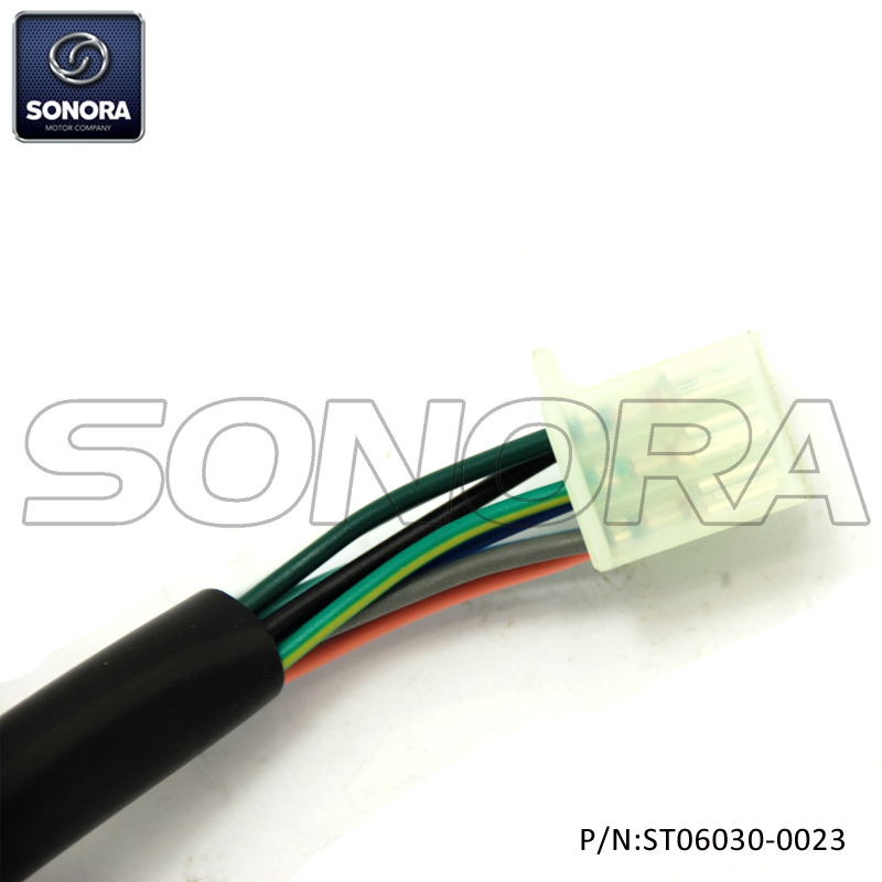Interruptor de manija izquierda SCOMADI (P / N: ST06030-0023) Calidad superior