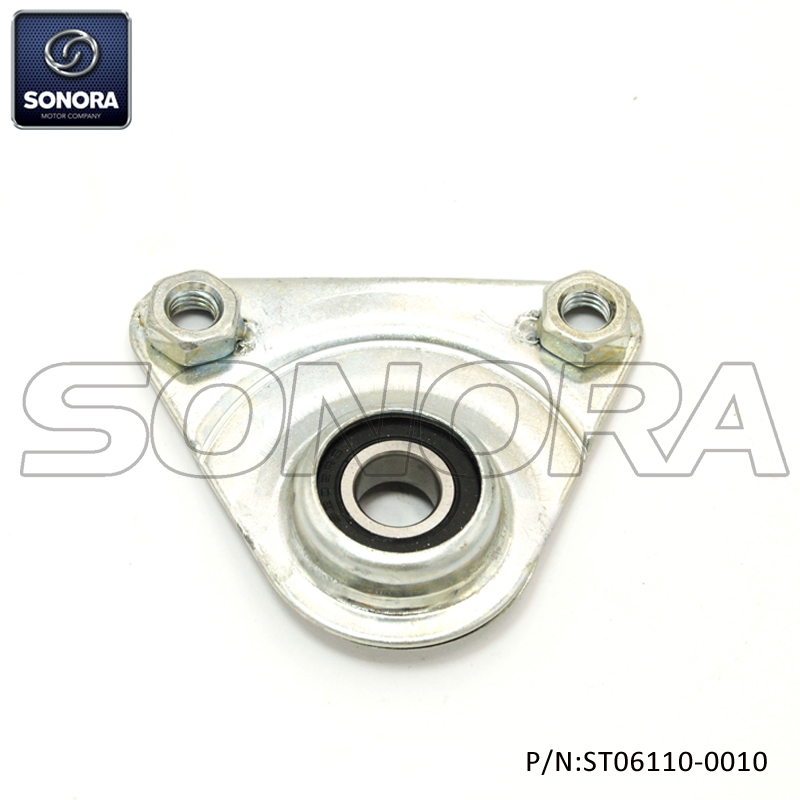PIAGGIO CIAO Soporte trasero (P / N: ST06110-0010) Calidad superior